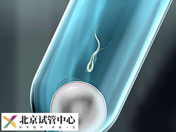 试管婴儿哪些阶段不能同房(图1)