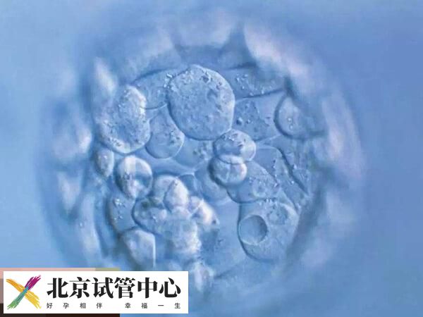 鲜胚6c2和7c2优劣分析，其质量、移植成功率怎么样速看(图2)