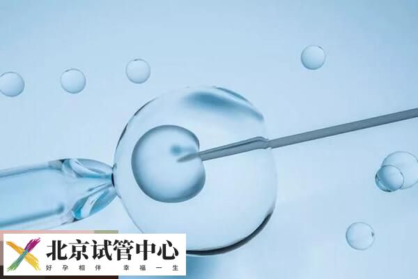 鲜胚囊胚冻胚的含义介绍，移植哪个成功率高赶紧来看(图1)