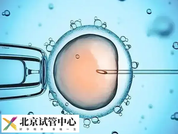 胚胎移植后着床会有什么感觉(图2)