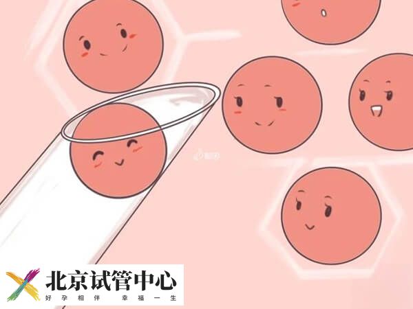 取卵手术的过程是什么(图2)