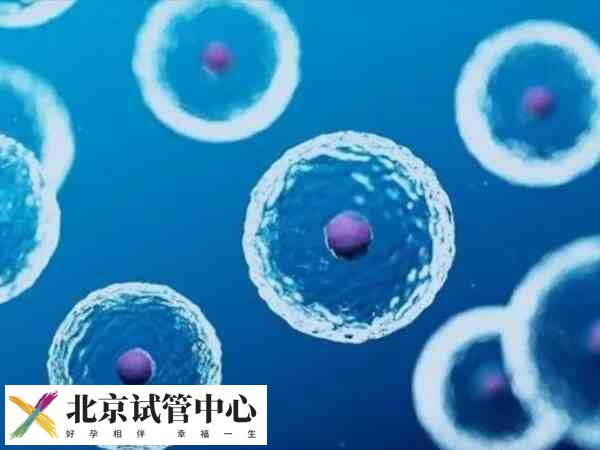 北京生殖中心有哪些(图1)