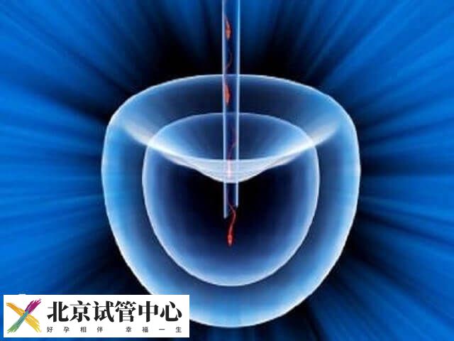 桥本甲状腺炎做试管比较好还是自然受孕好(图1)