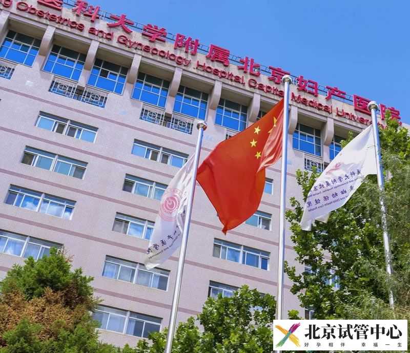 首都医科大学附属北京妇产医院 北京妇产医院(图3)