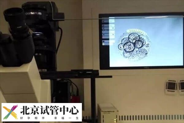 北京三代试管婴儿流程是怎样的(图1) 北京三代试管婴儿流程是怎样的(图1)