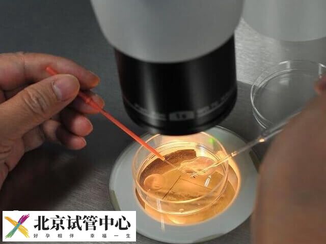 4bb囊胚三代筛查成功率有多少(图1)
