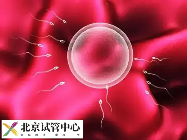 试管婴儿生化的原因是什么(图1) 试管婴儿生化的原因是什么(图1)