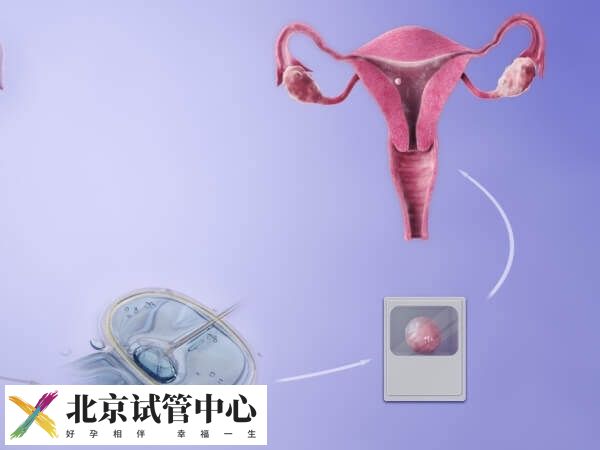 移植8c4胚胎成功几率大不大(图2) 移植8c4胚胎成功几率大不大(图2)