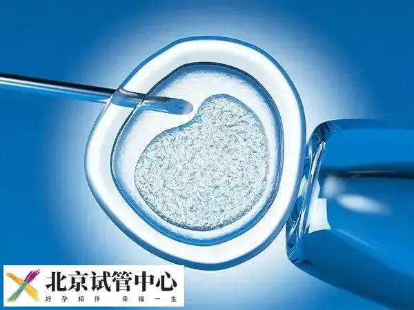 三代试管婴儿着床后是否会胎停(图1) 三代试管婴儿着床后是否会胎停(图1)